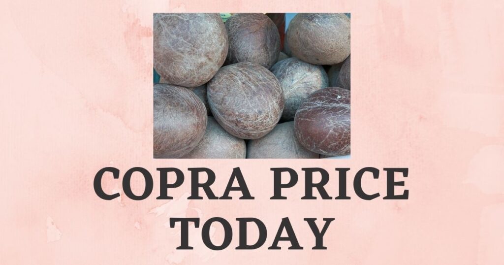 Copra Price Today Tiptur, Arsikere Kobbari Rate Today The Global