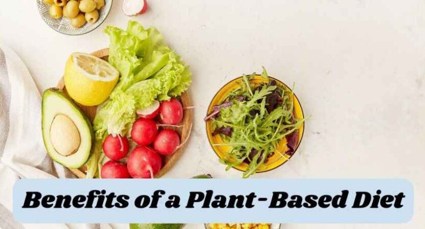 Benefits of a Plant-Based Diet | Vegan Diet Advantages