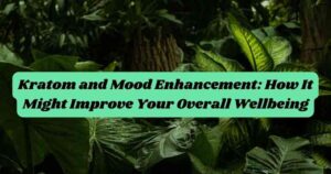 Kratom and Mood Enhancement: How It Might Improve Your Overall Wellbeing